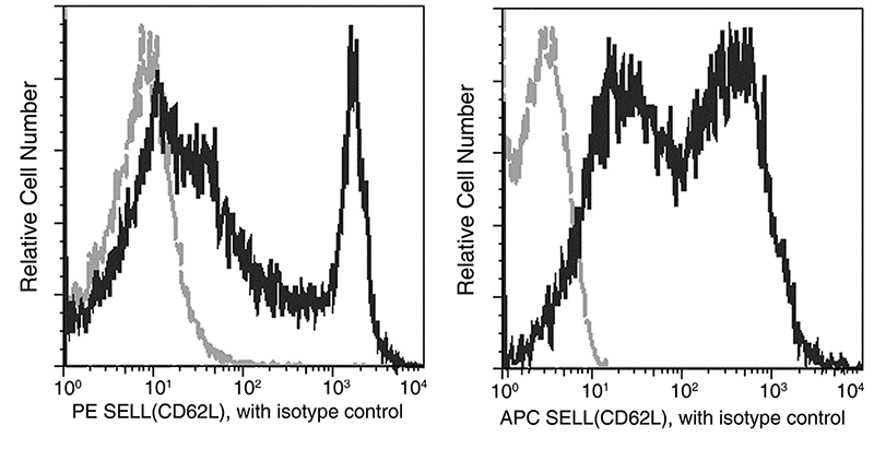 CD62L / L-Selectin Antibody (APC), Mouse MAb, Flow Cytometry