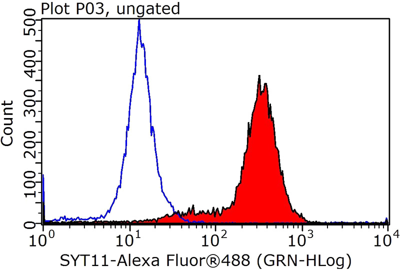 1X10^6 HepG2 cells were stained with 0.2ug SYT17 antibody (Catalog No:115804, red) and control antibody (blue). Fixed with 90% MeOH blocked with 3% BSA (30 min). Alexa Fluor 488-congugated AffiniPure Goat Anti-Rabbit IgG(H+L) with dilution 1:1000.