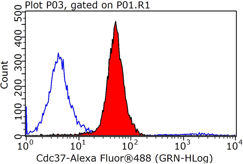 1X10^6 MCF-7 cells were stained with 0.2ug CDC37 antibody (Catalog No:109103, red) and control antibody (blue). Fixed with 90% MeOH blocked with 3% BSA (30 min). Alexa Fluor 488-congugated AffiniPure Goat Anti-Rabbit IgG(H+L) with dilution 1:1000.