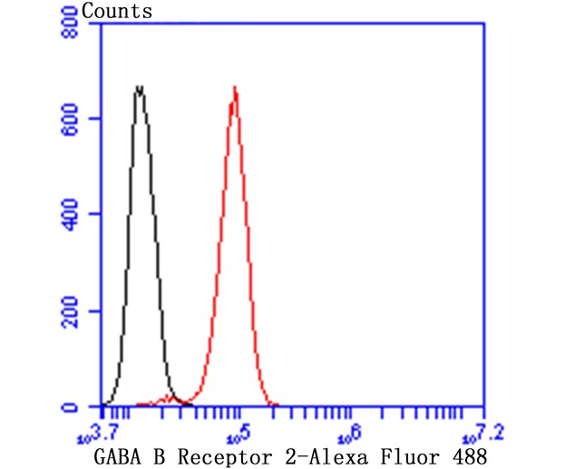 Fig5: Flow cytometric analysis of SH-SY-5Y cells with GABA B Receptor 2 antibody at 1/50 dilution (red) compared with an unlabelled control (cells without incubation with primary antibody; black). Alexa Fluor 488-conjugated goat anti rabbit IgG was used as the secondary antibody.