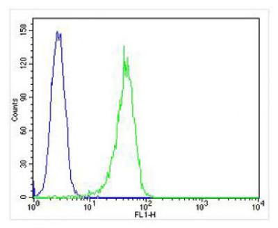 Overlay histogram showing HL-60 cells stained with 169125 (green line).  The cells were fixed with 4% paraformaldehyde (10 min) and then permeabilized with 90% methanol for 10 min.  The cells were then icubated in 2% bovine serum albumin to block non-spe