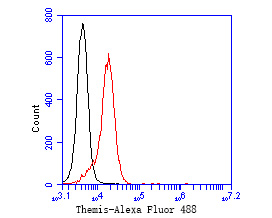 Fig6:; Flow cytometric analysis of Themis was done on Jurkat cells. The cells were fixed, permeabilized and stained with the primary antibody ( 1/50) (red). After incubation of the primary antibody at room temperature for an hour, the cells were stained with a Alexa Fluor 488-conjugated Goat anti-Rabbit IgG Secondary antibody at 1/1000 dilution for 30 minutes.Unlabelled sample was used as a control (cells without incubation with primary antibody; black).
