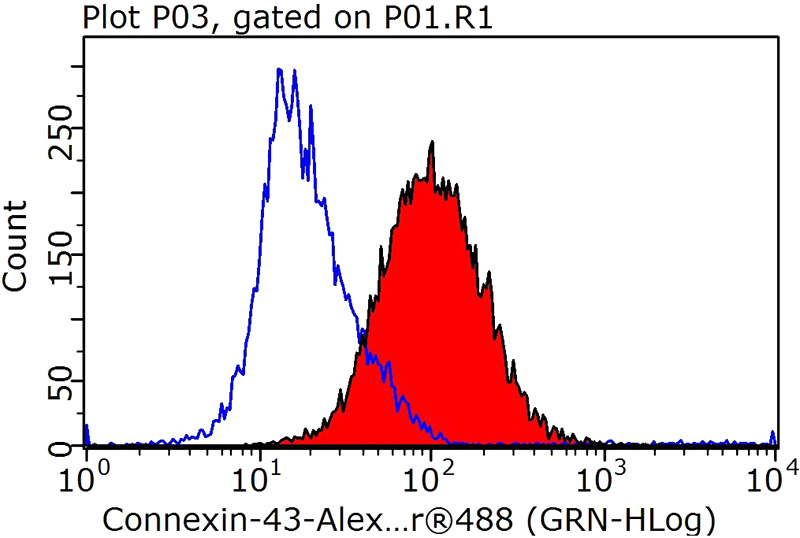 1X10^6 Jurkat cells were stained with 0.5ug Connexin 43 antibody (Catalog No:109453, red) and control antibody (blue). Fixed with 90% MeOH blocked with 3% BSA (30 min). Alexa Fluor 488-congugated AffiniPure Goat Anti-Rabbit IgG(H+L) with dilution 1:1000.