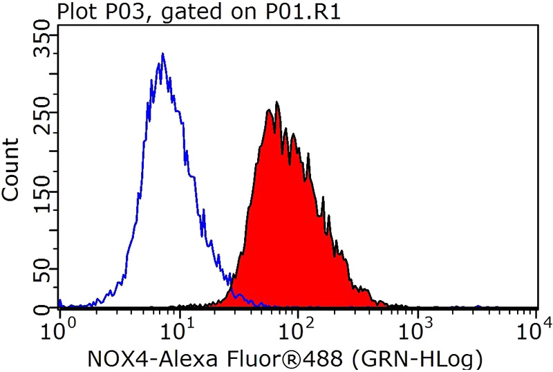 1X10^6 HeLa cells were stained with 0.2ug NOX4 antibody (Catalog No:113314, red) and control antibody (blue). Fixed with 90% MeOH blocked with 3% BSA (30 min). Alexa Fluor 488-congugated AffiniPure Goat Anti-Rabbit IgG(H+L) with dilution 1:1000.