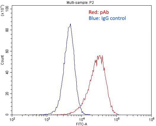 1X10^6 HeLa cells were stained with .2ug LDLR antibody (Catalog No:112188, red) and control antibody (blue). Fixed with 4% PFA blocked with 3% BSA (30 min). Alexa Fluor 488-congugated AffiniPure Goat Anti-Rabbit IgG(H+L) with dilution 1:1500.