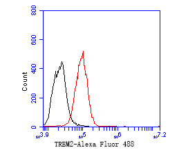 Fig5:; Flow cytometric analysis of TREM2 was done on THP-1 cells. The cells were fixed, permeabilized and stained with the primary antibody ( 1/50) (red). After incubation of the primary antibody at room temperature for an hour, the cells were stained with a Alexa Fluor 488-conjugated Goat anti-Rabbit IgG Secondary antibody at 1/1000 dilution for 30 minutes.Unlabelled sample was used as a control (cells without incubation with primary antibody; black).