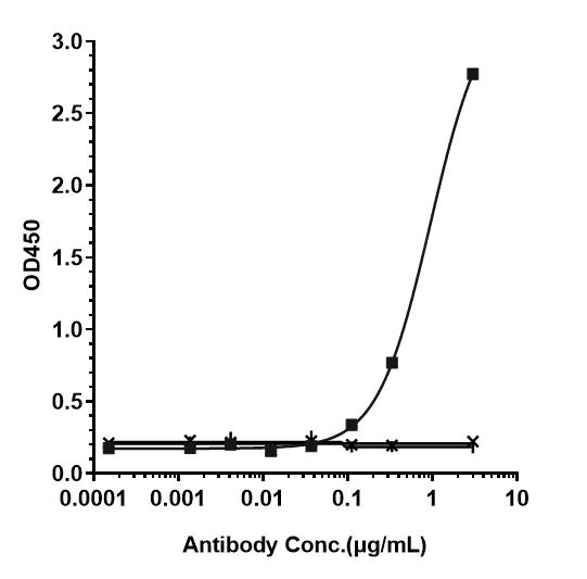 Bioactivity: ELISA