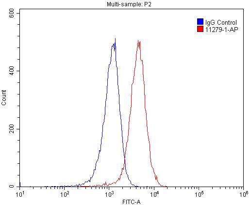 1X10^6 Raji cells were stained with 0.2ug PRMT1 antibody (Catalog No:114205, red) and control antibody (blue). Fixed with 4% PFA blocked with 3% BSA (30 min). Alexa Fluor 488-congugated AffiniPure Goat Anti-Rabbit IgG(H+L) with dilution 1:1500.