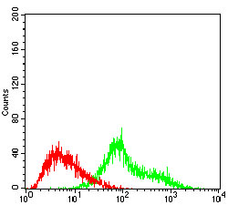 Fig5: Flow cytometric analysis of Hela cells with TUBE1 antibody at 1/100 dilution (green) compared with an unlabelled control (cells without incubation with primary antibody; red).