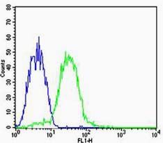 Fig1: Cell: HepG2; Concentration:1:100; Host/Isotype:Rabbit/IgG; Flow cytometric analysis of Rabbit IgG isotype control (Cat#: 175327#) on HepG2(green) compared with control in the absence of primary antibody (blue) followed by Alexa Fluor 488-conjugated goat anti-rabbit IgG(H+L) secondary antibody .
