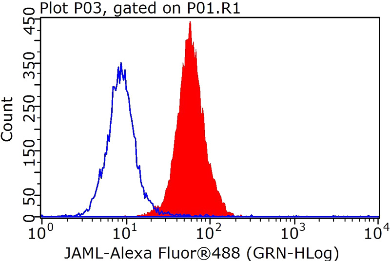 1X10^6 HeLa cells were stained with 0.2ug AMICA1 antibody (Catalog No:111883, red) and control antibody (blue). Fixed with 90% MeOH blocked with 3% BSA (30 min). FITC-Goat anti-Rabbit IgG with dilution 1:100.