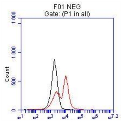 FC result of anti-MITF (Catalog No:112661, 1:50) with hESC which spontaneous differentiation toward retinal lineage (RPE). (Black: control; Red MITF).