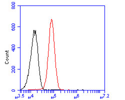 Fig2:; Flow cytometric analysis of ATBF1 was done on HepG2 cells. The cells were fixed, permeabilized and stained with the primary antibody ( 1/50) (red). After incubation of the primary antibody at room temperature for an hour, the cells were stained with a Alexa Fluor 488-conjugated Goat anti-Rabbit IgG Secondary antibody at 1/1000 dilution for 30 minutes.Unlabelled sample was used as a control (cells without incubation with primary antibody; black).