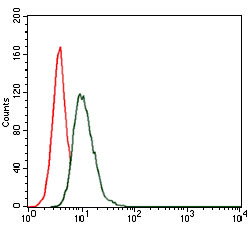Flow cytometric analysis of HeLa cells using HSP90AA1 mouse mAb (green) and negative control (red).