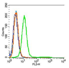 Fig2: Blank control: RSC96 cells(blue).; Primary Antibody: Rabbit Anti-IL-1R2 antibody , Dilution: 1μg in 100 μL 1X PBS containing 0.5% BSA;; Isotype Control Antibody: Rabbit IgG (orange) ,used under the same conditions.; Secondary Antibody: Goat anti-rabbit IgG-PE(white blue), Dilution: 1:200 in 1 X PBS containing 0.5% BSA.