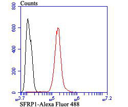 Fig9: Flow cytometric analysis of SH-SY-5Y cells with SFRP1 antibody at 1/100 dilution (red) compared with an unlabelled control (cells without incubation with primary antibody; black). Alexa Fluor 488-conjugated goat anti-rabbit IgG was used as the secon