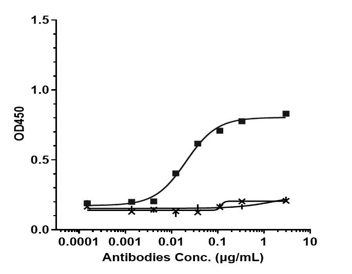 Bioactivity: ELISA