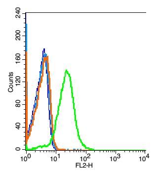 Fig1: Blank control(blue): Mouse Kidney Cells(fixed with 2% paraformaldehyde (10 min)).; Primary Antibody:Rabbit Anti- GPR110 antibody , Dilution: 1ug in 100 uL 1X PBS containing 0.5% BSA;; Isotype Control Antibody: Rabbit IgG(orange) ,used under the same conditions );; Secondary Antibody: Goat anti-rabbit IgG-PE(white blue), Dilution: 1:200 in 1 X PBS containing 0.5% BSA.