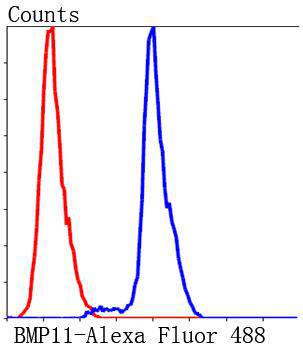 Fig5: Flow cytometric analysis of HepG2 cells with BMP11 antibody at 1/100 dilution (blue) compared with an unlabelled control (cells without incubation with primary antibody; red). Alexa Fluor 488-conjugated Goat anti rabbit IgG was used as the secondary antibody.