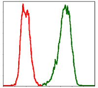 Flow cytometric analysis of Hela cells using PBK mouse mAb (green) and negative control (red).