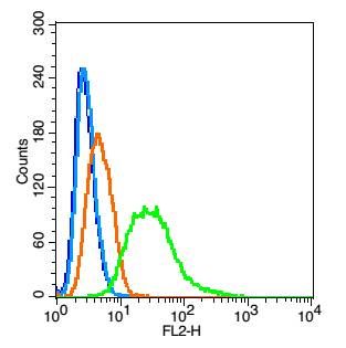 Fig3: Blank control(blue): Hela(fixed with 2% paraformaldehyde (10 min) , then permeabilized with 90% ice-cold methanol for 30 min on ice).; Primary Antibody:Rabbit Anti- Thyroid hormone receptor alpha antibody , Dilution: 1μg in 100 μL 1X PBS containing 0.5% BSA;; Isotype Control Antibody: Rabbit IgG(orange) ,used under the same conditions );; Secondary Antibody: Goat anti-rabbit IgG-PE(white blue), Dilution: 1:200 in 1 X PBS containing 0.5% BSA.