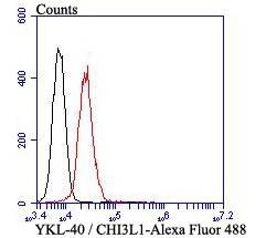 Fig5:; Flow cytometric analysis of YKL-40 / CHI3L1 was done on HepG2 cells. The cells were fixed, permeabilized and stained with YKL-40 / CHI3L1 antibody at 1/100 dilution (red) compared with an unlabelled control (cells without incubation with primary antibody; black). After incubation of the primary antibody on room temperature for an hour, the cells was stained with a Alexa Fluor™ 488-conjugated goat anti-mouse IgG Secondary antibody at 1/500 dilution for 30 minutes.