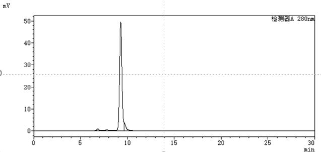SEC-HPLC