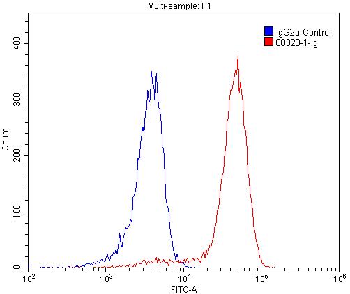 1X10^6 Jurkat cells were stained with 0.2ug ENTPD1 antibody (Catalog No:107253, red) and control antibody (blue). Fixed with 4% PFA blocked with 3% BSA (30 min). Alexa Fluor 488-congugated AffiniPure Goat Anti-Mouse IgG(H+L) with dilution 1:1500.