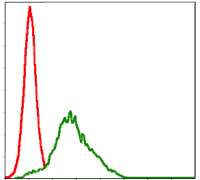 Flow cytometric analysis of HepG2 cells using RSK2 mouse mAb (green) and negative control (red).