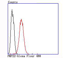 Fig5:; Flow cytometric analysis of PMP22 was done on SH-SY5Y cells. The cells were fixed, permeabilized and stained with the primary antibody ( 1/50) (red). After incubation of the primary antibody at room temperature for an hour, the cells were stained with a Alexa Fluor 488-conjugated Goat anti-Rabbit IgG Secondary antibody at 1/1000 dilution for 30 minutes.Unlabelled sample was used as a control (cells without incubation with primary antibody; black).