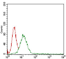 Flow cytometric analysis of A431 cells using B2M mouse mAb (green) and negative control (red).