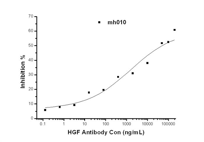 HGF / Hepatocyte Growth Factor Neutralizing Antibody