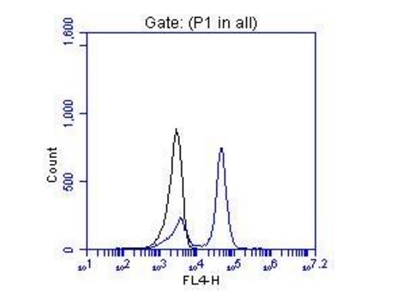 FC result of anti-OTX2 (Catalog No:113519, 1:100) with hESC which spontaneous differentiation toward retinal lineage (RPE). (Black: control; Blue OTX2).