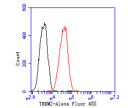 Fig6:; Flow cytometric analysis of TREM2 was done on THP-1 cells. The cells were fixed, permeabilized and stained with the primary antibody ( 1/50) (red). After incubation of the primary antibody at room temperature for an hour, the cells were stained with a Alexa Fluor 488-conjugated Goat anti-Rabbit IgG Secondary antibody at 1/1000 dilution for 30 minutes.Unlabelled sample was used as a control (cells without incubation with primary antibody; black).