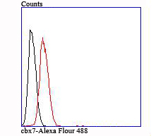 Fig2:; Flow cytometric analysis of cbx7 was done on Hela cells. The cells were fixed, permeabilized and stained with the primary antibody ( 1/50) (red). After incubation of the primary antibody at room temperature for an hour, the cells were stained with a Alexa Fluor 488-conjugated Goat anti-Rabbit IgG Secondary antibody at 1/1000 dilution for 30 minutes.Unlabelled sample was used as a control (cells without incubation with primary antibody; black).