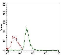 Flow cytometric analysis of Jurkat cells using RB1 mouse mAb (green) and negative control (red).