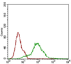 Fig7: Flow cytometric analysis of Hela cells with CD68 antibody at 1/100 dilution (green) compared with an unlabelled control (cells without incubation with primary antibody; red).