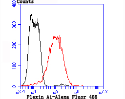 Fig2: Flow cytometric analysis of LOVO cells with Plexin A1 antibody at 1/50 dilution (red) compared with an unlabelled control (cells without incubation with primary antibody; black). Alexa Fluor 488-conjugated goat anti rabbit IgG was used as the secondary antibody.