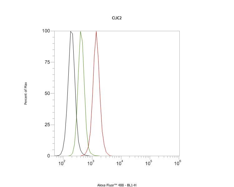 Fig5:; Flow cytometric analysis of CLIC2 was done on SH-SY5Y cells. The cells were fixed, permeabilized and stained with the primary antibody ( 1ug/ml) (red) compared with Mouse IgG, monoclonal - Isotype Control ( green). After incubation of the primary antibody at room temperature for an hour, the cells were stained with a Alexa Fluor®488 conjugate-Goat anti-Mouse IgG Secondary antibody at 1/1000 dilution for 30 minutes.Unlabelled sample was used as a control (cells without incubation with primary antibody; black).