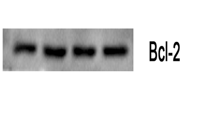 The picture was kindly provided by our customer