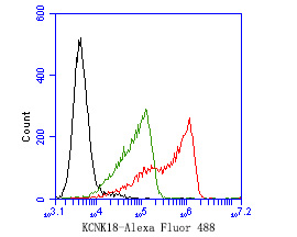Fig7: Flow cytometric analysis of KCNK18 was done on SH-SY5Y cells. The cells were fixed, permeabilized and stained with the primary antibody ( 1/50) (red). After incubation of the primary antibody at room temperature for an hour, the cells were