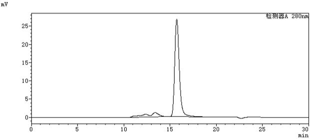 SEC-HPLC