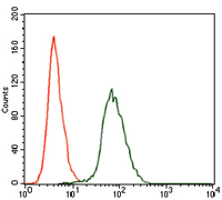 Flow cytometric analysis of HepG2 cells using CSNK2A2 mouse mAb (green) and negative control (red).