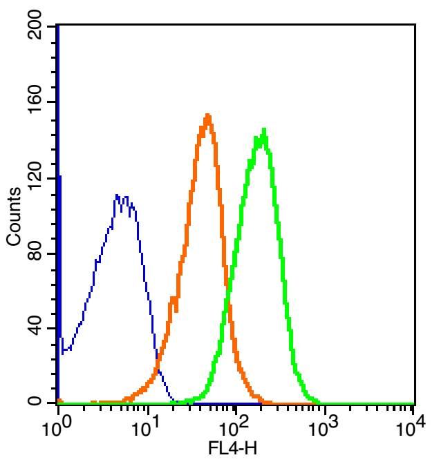 Fig3: Blank control(blue): Molt-4 Cells(fixed with 2% paraformaldehyde (10 min)).; Primary Antibody: Rabbit Anti-Glucagon Receptor/AF647 Conjugated antibody (175455#/AF647), Dilution: 1μg in 100 μL 1X PBS containing 0.5% BSA;; Isotype Control Antibody: Rabbit IgG/AF647(orange) ,used under the same conditions.