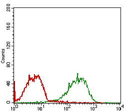 Flow cytometric analysis of MCF-7 cells using RELB mouse mAb (green) and negative control (red).