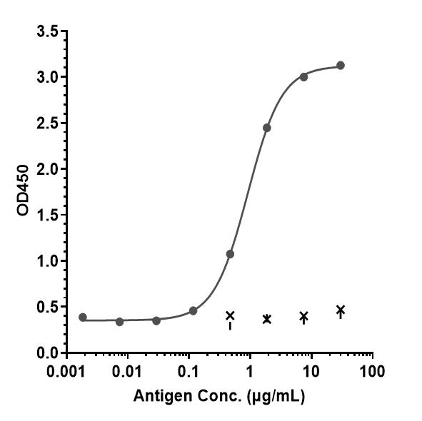 Bioactivity: ELISA
