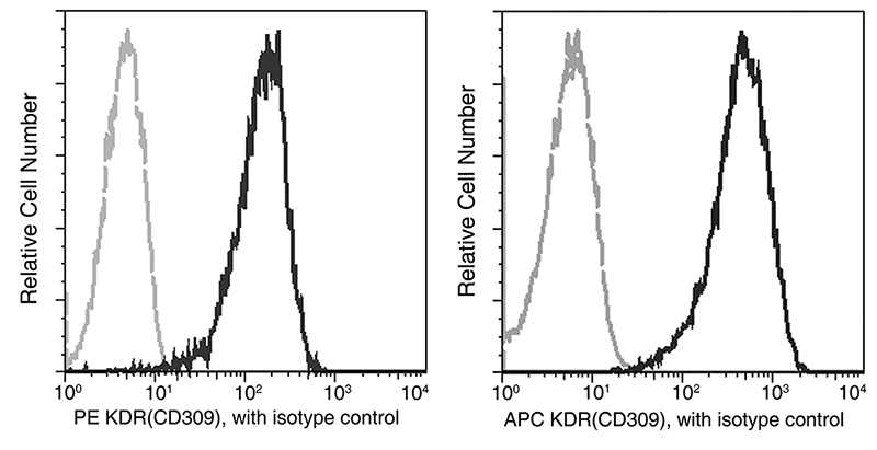VEGFR2 / Flk-1 / CD309 / KDR Antibody (APC), Rabbit MAb, Flow Cytometry