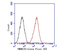Fig5:; Flow cytometric analysis of TMEM163 was done on F9 cells. The cells were fixed, permeabilized and stained with the primary antibody ( 1/50) (red). After incubation of the primary antibody at room temperature for an hour, the cells were stained with a Alexa Fluor 488-conjugated Goat anti-Rabbit IgG Secondary antibody at 1/1000 dilution for 30 minutes.Unlabelled sample was used as a control (cells without incubation with primary antibody; black).