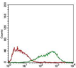 Flow cytometric analysis of HepG2 cells using FSHB mouse mAb (green) and negative control (red).