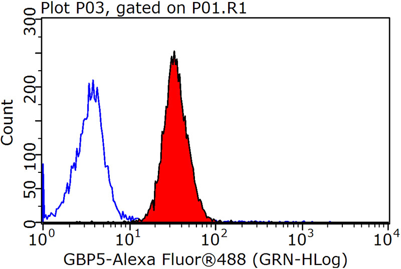 1X10^6 MCF-7 cells were stained with 0.2ug GBP5 antibody (Catalog No:110894, red) and control antibody (blue). Fixed with 90% MeOH blocked with 3% BSA (30 min). Alexa Fluor 488-congugated AffiniPure Goat Anti-Rabbit IgG(H+L) with dilution 1:1500.